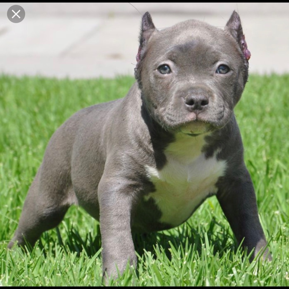 Meet your Posher, Beth